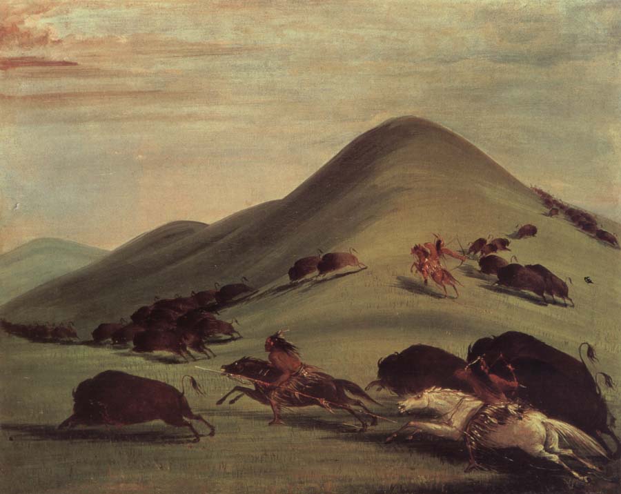 George Catlin Buffalo Chase Over Prairie bark